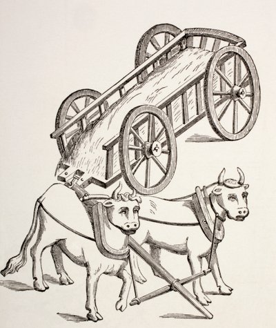 Charrette du 15ème siècle tirée par des bœufs, de 